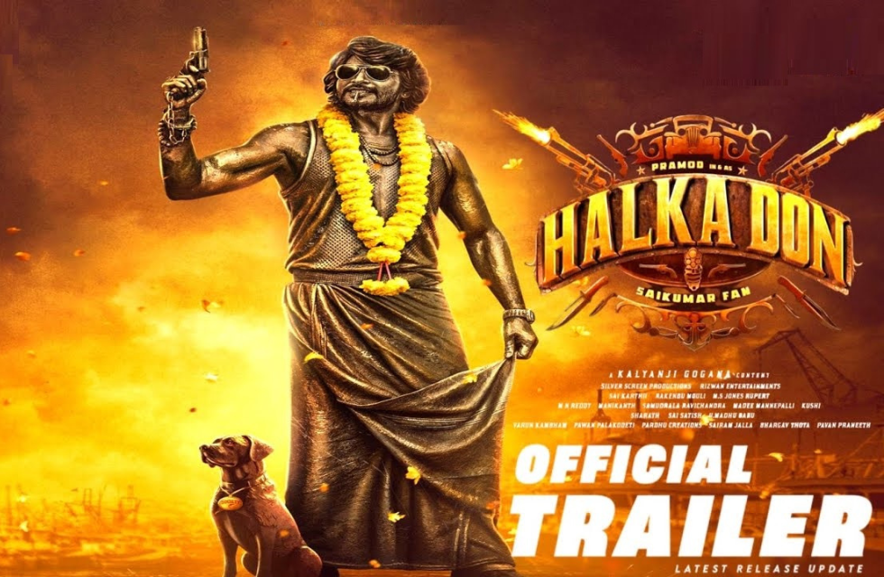 Halka Don Movie Release Date — Everything You Need to Know Halka Don Movie Release Date Image.png